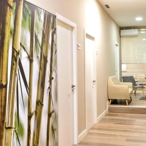 Pasillo con mural de bambú y sala de espera de Clínica Dental Ladeira